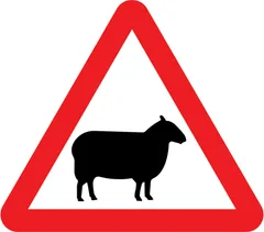 Sheep likely to be in road ahead — UK road sign