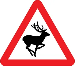 Wild animals likely to be in road ahead — UK road sign